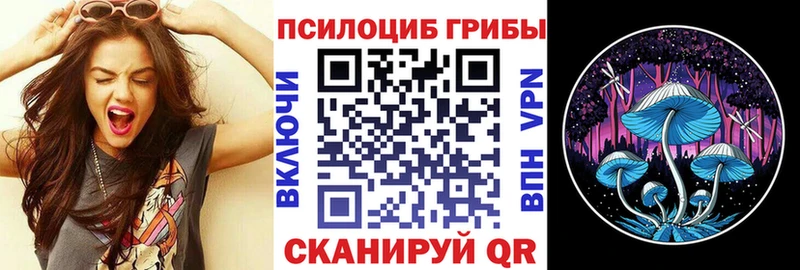 Псилоцибиновые грибы мицелий  Фёдоровский 
